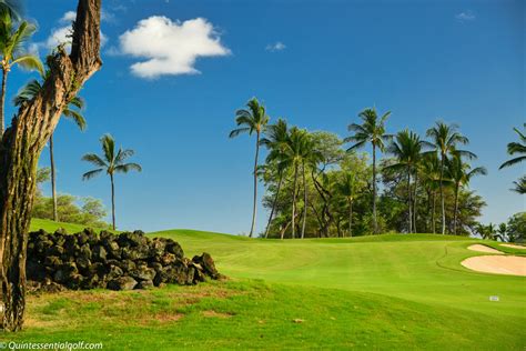 Wailea Gold Course- Quintessential Golf
