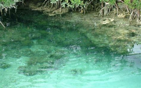 Cave Trotting, nassau, Bahamas - Top Attractions, Things to Do ...