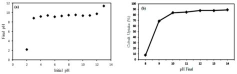 Symmetry | Special Issue : Nanocatalysis and Symmetry in Chemistry