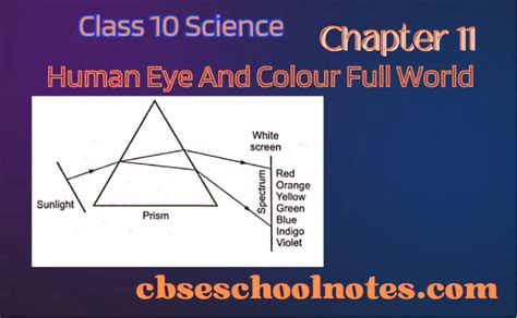 Class 10 Science Chapter 11 Topic Eyes 的图像结果