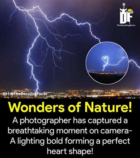 Image result for Random Facts to Know