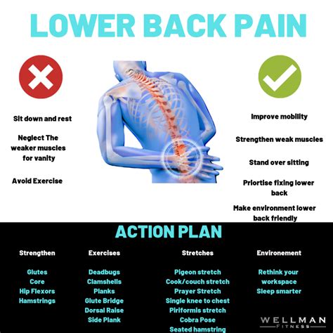 How To Adjust Lower Back Pain at Matthew Mendelsohn blog