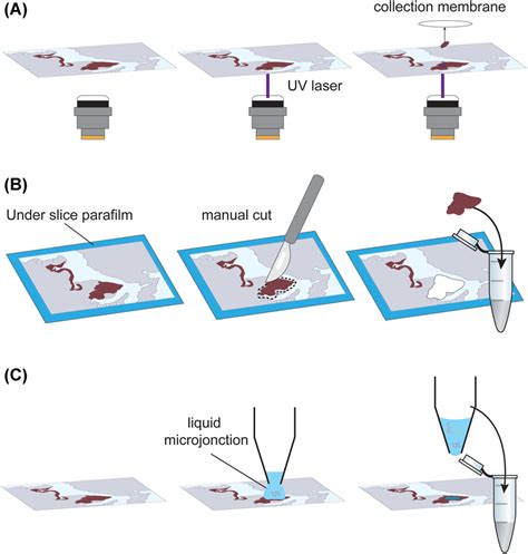 Microscale Extraction 的图像结果