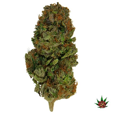 Exotic Shelf (Orange) - Dante's Inferno (Indica) - Eden Rose Processing