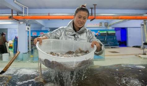 大庆最大的批发海鲜市场开市啦！就在大庆农批城~_澎湃号·媒体_澎湃新闻-The Paper