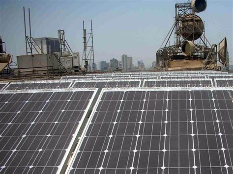 Installations - Bird Edge