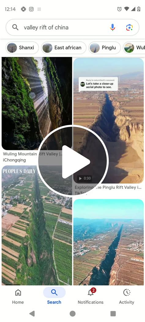 Why the Eye Has the Fastest Muscles in the Human Body - Part 2 Your ...