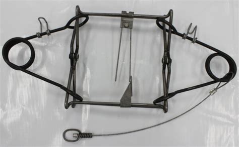 Body Grip Trap Modifications 的图像结果