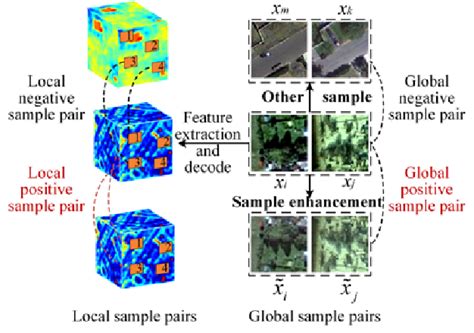 Image result for Sample Collection Positive/Negative