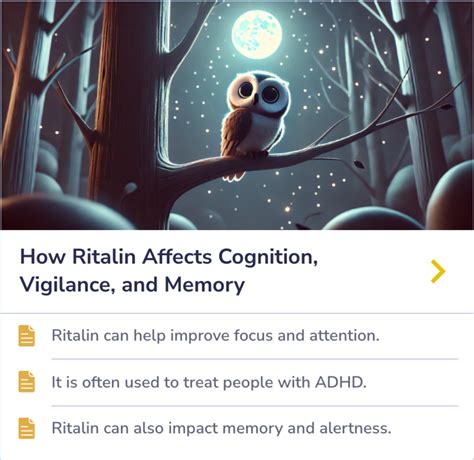 Can Long-Term Adderall Use Damage the Brain? | Evidence Summary