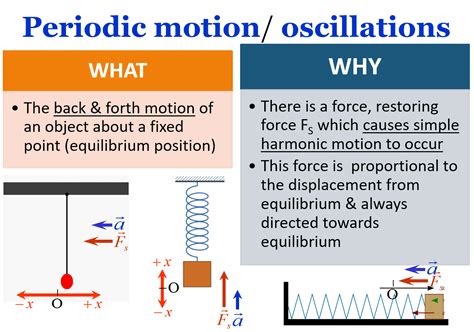 Image result for Simple Harmonic Motion Examples With