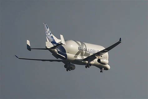 Airbus Beluga XL 'whale' plane spotted flying over Cornwall | ITV News ...