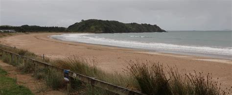 Taipa Tourism (2024): All You Need to Know Before You Go