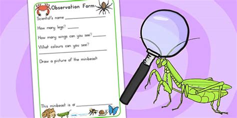 Minibeasts Investigation Lab Observation Form (teacher made)