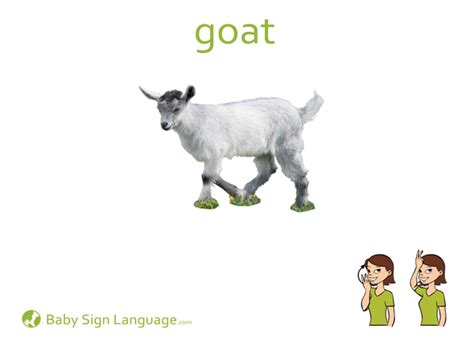 Goat in Sign Language 的图像结果