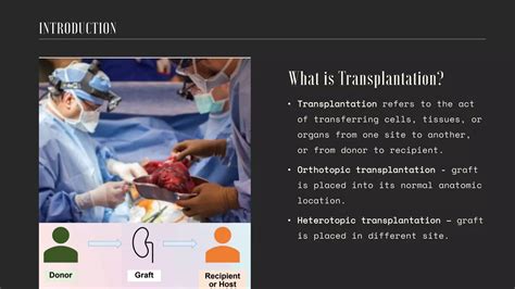 Transplantation And Rejection