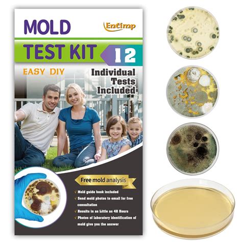 Mold Test Kit for Home Within 12 Individual Tests,DIY Detector at Home ...