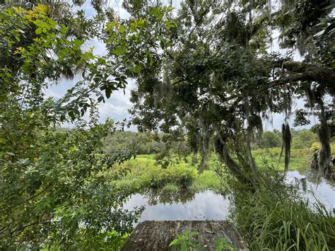 Welcome — Linger Lodge