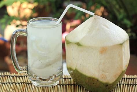 manfaat minuman air kelapa hijau