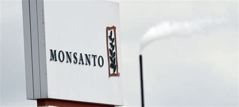 Here's what happened at Monsanto's trial for ecocide at a People’s ...