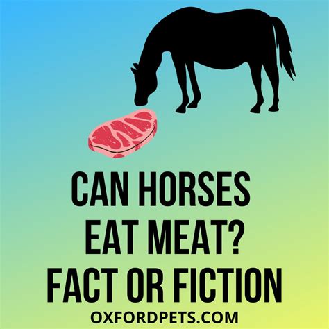 Can Horses Eat Meat Or Chicken? Fact or Myth - Oxford Pets