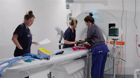 Small Animal Specialist Hospital (SASH) Vets Australia: Heroes of The ...