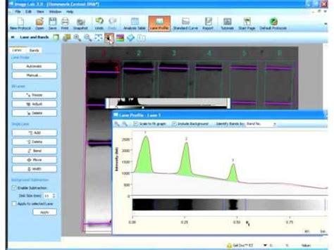 Green Image Lab Software 的图像结果