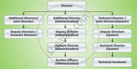Image result for Sebi Structure