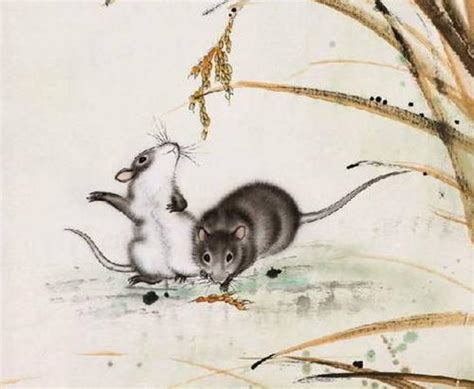 2020年鼠年水墨画,老鼠运财画图片,老鼠写意画_文秘苑图库