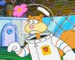 Image result for Sandy Cheeks Acorn
