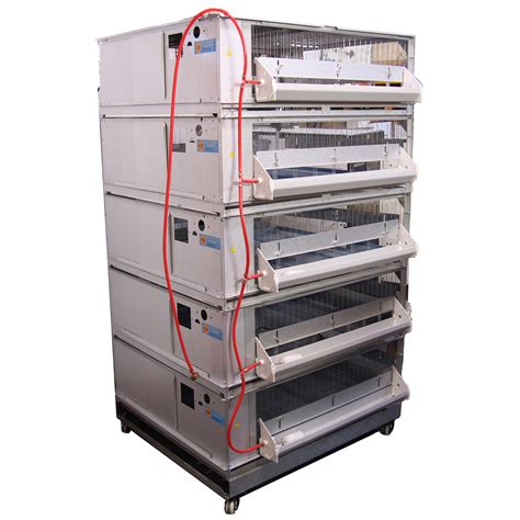 Image result for Battery Brooder