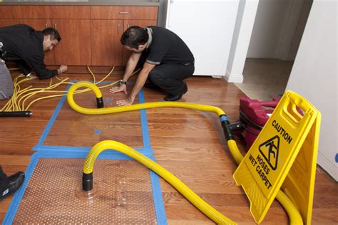 Repair Hardwood Floor Water Damage like a Pro: A Step-by-Step Guide