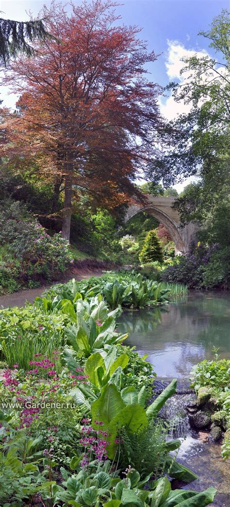 Сад Замку Кілдраммі (Kildrummy Castle Gardens)