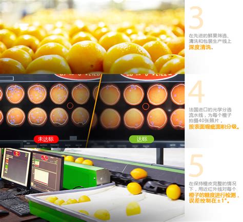 整箱(17.5)农夫山泉橙 （约3KG/箱）-天惠超市
