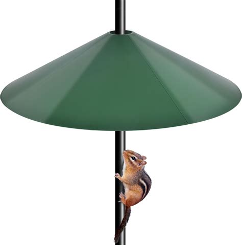Amazon.com : 24-inch Large Outdoor Squirrel Baffles for Bird Feeders ...