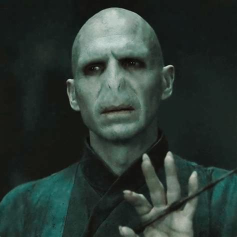 - 𝖛𝖔𝖑𝖉𝖊𝖒𝖔𝖗𝖙 | Voldemort pictures, Lord voldemort tom riddle, Voldemort ...