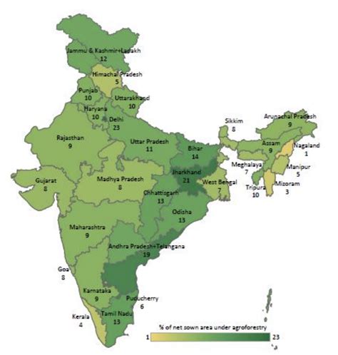 What is Agroforestry Potential in India? CEEW Research