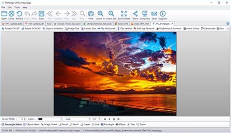 Image result for File Magic Review