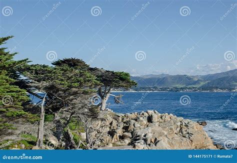 The Lone Cypress Seen from the 17 Mile Drive in Pebble Beach of ...