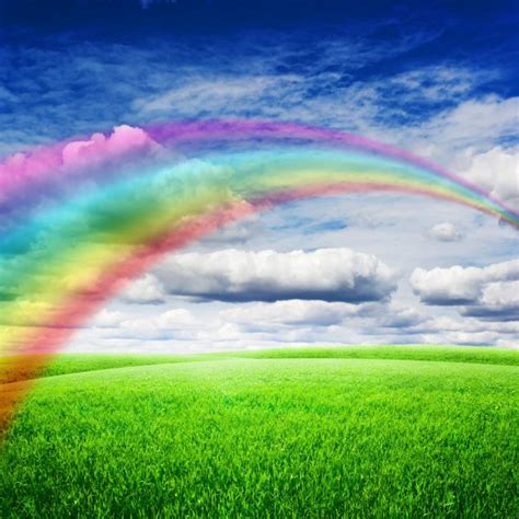 Image result for Rainbow Loop