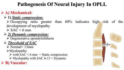 Image result for Opll Python Implementation