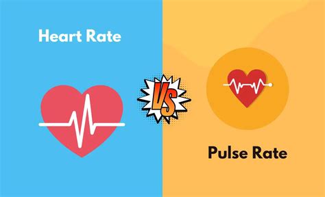 What Is Pulse Rate 的图像结果
