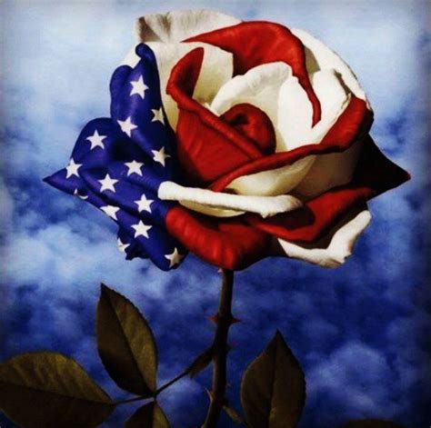 Pin by Carolyn Lay on A Thing of Beauty | Patriotic pictures, Memorial ...