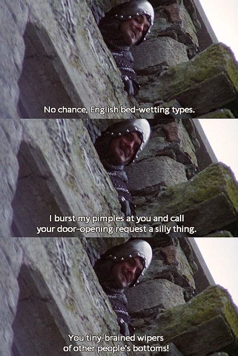 Monty Python Swallow 的图像结果