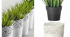 vasi per fiori ikea vasi da parete ikea as65 187 regardsdefemmes vasi per fiori ikea vasi da parete ikea as65 187 regardsdefemmes