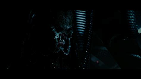 Alien vs Predator Requiem Final Battle 的图像结果