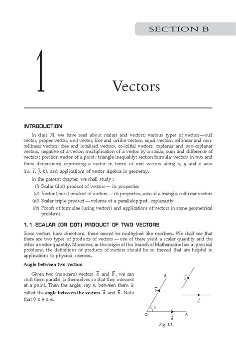 Image result for Vector Concept Map Class 11