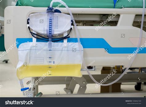 275 Urinary Device Images, Stock Photos & Vectors | Shutterstock