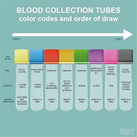 Pin on Phlebotomy study