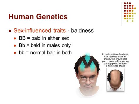 Genetics Examples 的图像结果